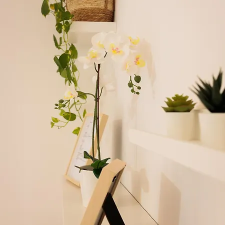 Pothos Apartmán